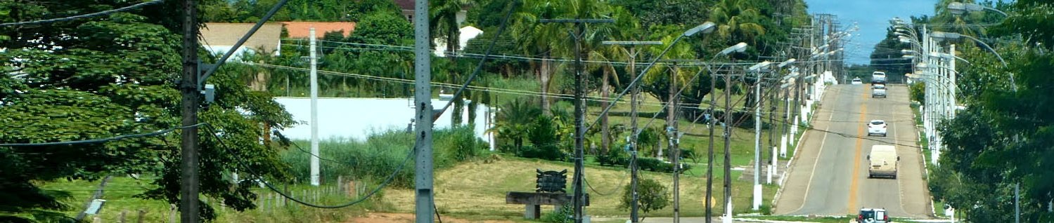 Banner Alta Floresta.jpg