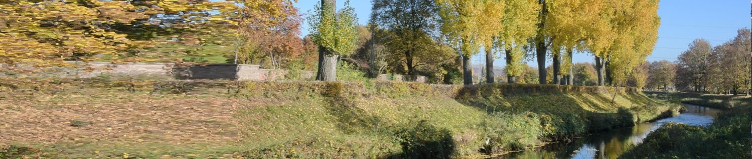 Banner Natur Umwelt.jpg