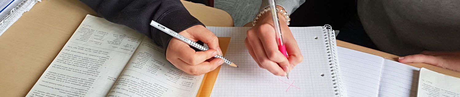 Banner Schulengesamt.jpg