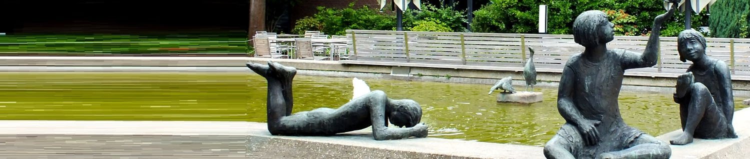 Banner Soziales Bildung.jpg