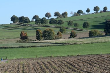 Fehlendes Foto.jpg