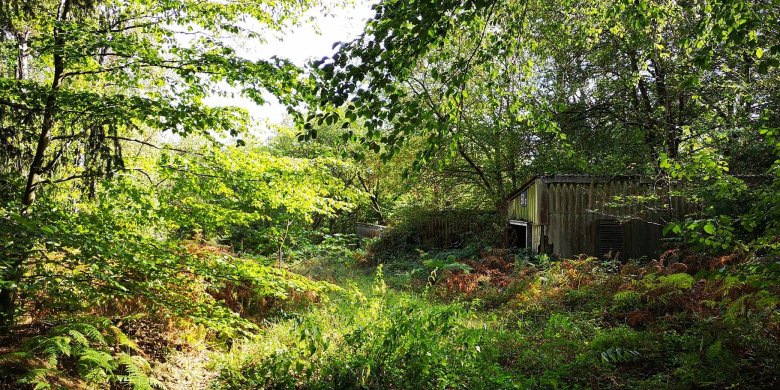 Grünfläche in Eschweiler IMG_20180917_151412.jpg