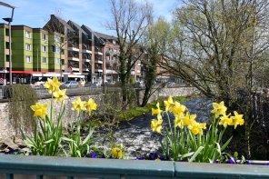 Stadtportrait Stadtportrait.jpg