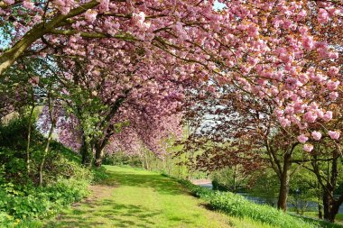 Stadt und Natur