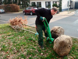 Pflanzungsarbeiten