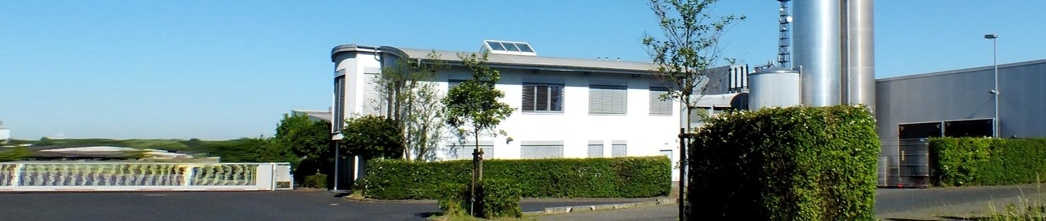 Wirtschaftsförderung Banner Wirtschaft 2.jpg