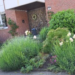Vorgarten aus Eschweiler
