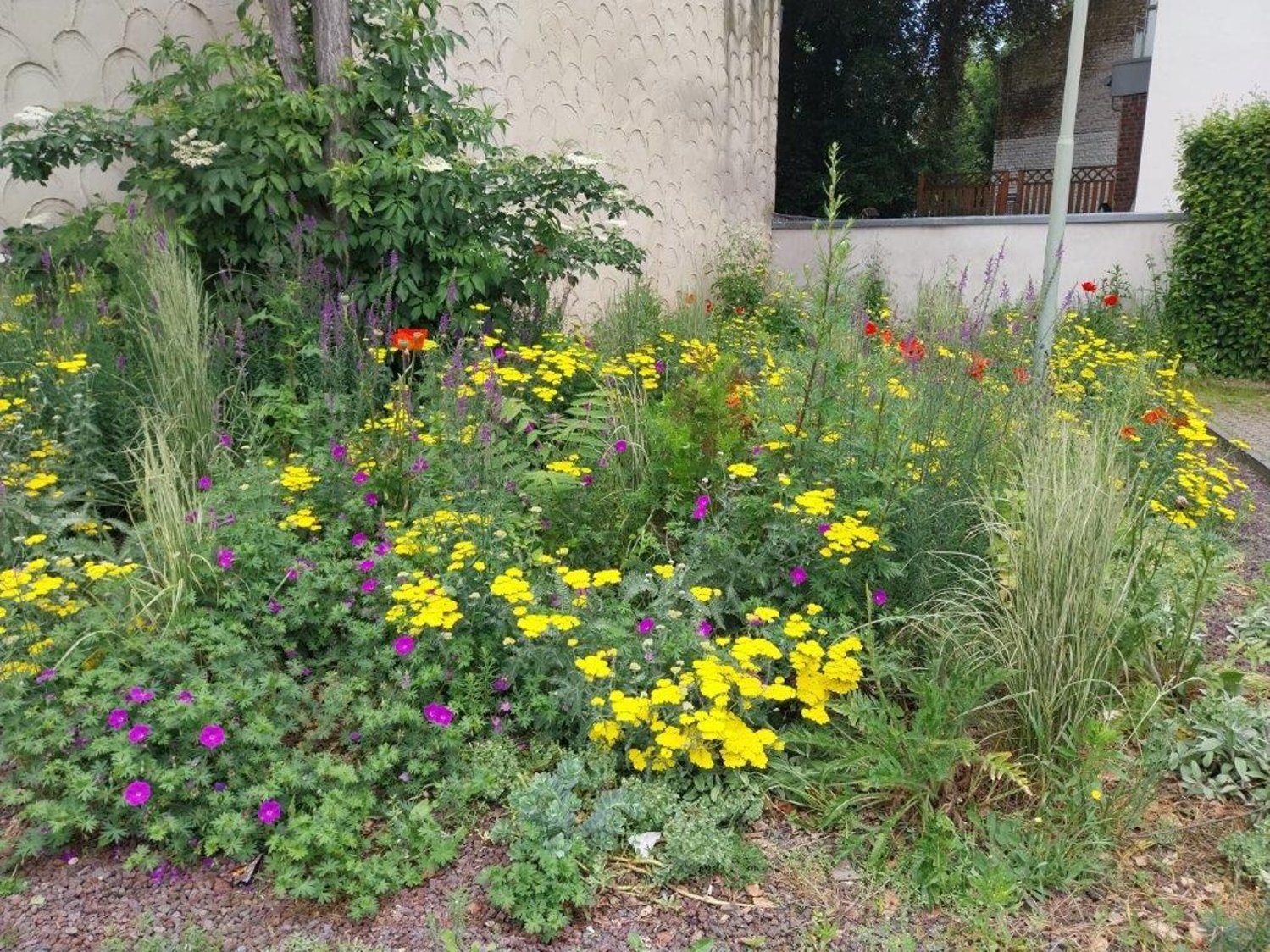 Banner Natur Umwelt.jpg