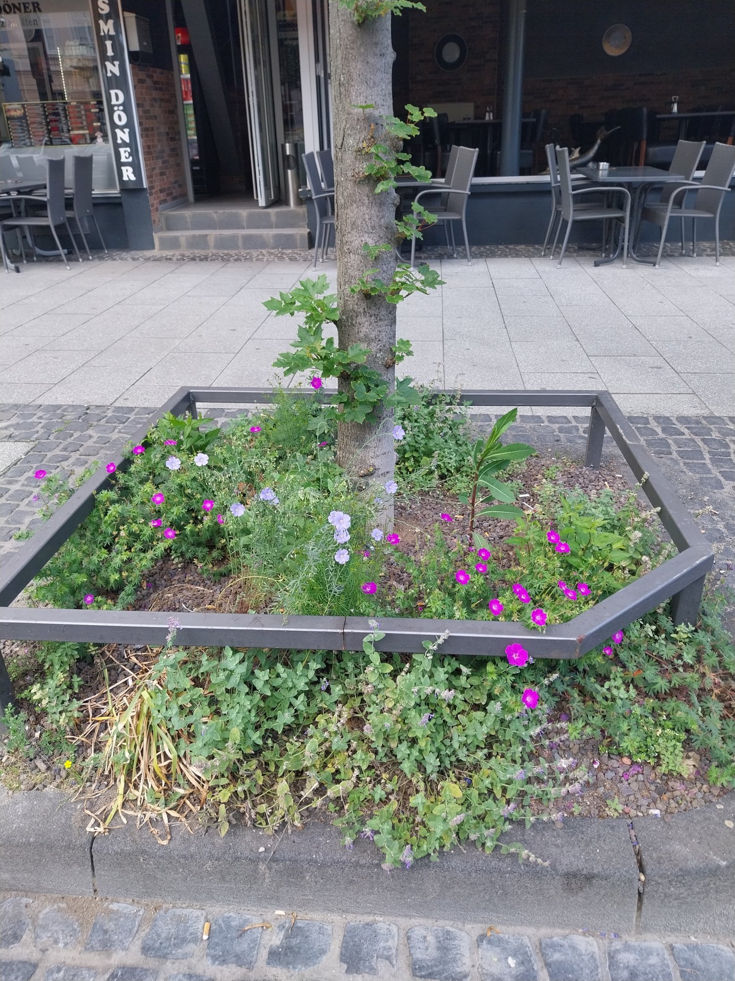 Banner Natur Umwelt.jpg